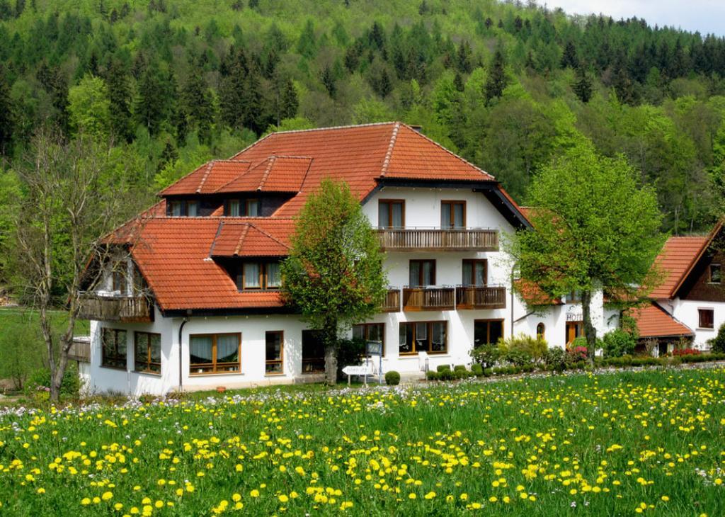 פופנהאוזן Rhoen-Hotel Sonnenhof - Restaurant & Cafe מראה חיצוני תמונה